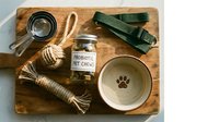 Flat lay arrangement of pet supplies on wooden board including probiotic pet cheese jar, green collar, rope toys, stainless steel bowl with paw print, and feeding accessories for dogs and cats.