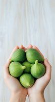 Hands holding fresh green figs against white background. Isolated produce for healthy eating, nutrition, and organic food concepts. Suitable for recipe blogs, wellness content.