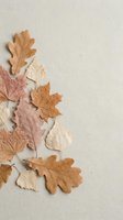 Autumn leaves arrangement on neutral beige textured background with copy space for seasonal design projects and fall themed decorations.
