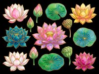 Watercolor lotus flowers and lily pads isolated on transparent background. Includes pink, yellow, and teal blooms with buds and green foliage. Ready for t-shirt designs, clipart, stickers, and print-on-demand projects.