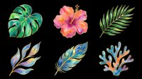 Tropical botanical clipart set with monstera, hibiscus, palm leaf, feather, and coral, isolated on transparent background. Great for t-shirts, stickers, and print on demand.