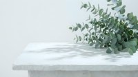 Concrete tabletop with fresh eucalyptus branches and dappled sunlight shadows, minimalist product display background for cosmetics, skincare, and home decor.