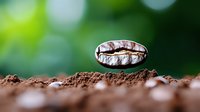 Coffee bean levitating over fresh ground coffee with green bokeh background, macro photography showing rich texture and aroma for cafe and restaurant marketing.