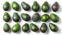 Fresh ripe avocados arranged in neat rows on white background, showing variety of colors from bright green to dark brown, isolated overhead view for food photography.