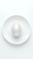 Single white egg placed on clean white ceramic plate isolated on white background for culinary and cooking design projects.
