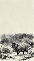 Goat with curved horns standing in snowy mountain terrain with sparse vegetation, rendered in detailed pen and ink sketch style on aged paper background for wildlife art and nature illustration projects.