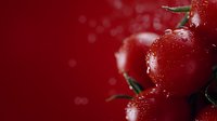 Fresh ripe red cherries with water drops on dark red background with bokeh effect, macro photography for food and beverage industry.