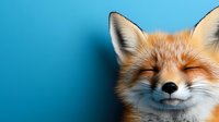 Adorable red fox with closed eyes and peaceful expression against bright blue background, wildlife portrait with copy space for nature designs.