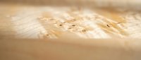 Fresh raw chicken breast fillet with natural texture and marbling, close-up macro shot showing meat fibers and surface details for culinary content.