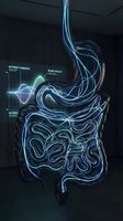Neon glowing digestive system with flowing blue and cyan light trails showing nutrient harmony and biome vitality data visualization for healthcare and medical education.