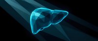 Glowing blue translucent human liver organ with geometric polygonal structure on dark background for medical education and healthcare presentations.