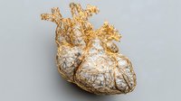 Golden wire anatomical heart sculpture on neutral gray background, showcasing intricate arteries and detailed cardiac structure.