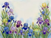 Watercolor painting of blooming iris flowers in shades of blue, purple, and yellow with green stems and leaves arranged in a garden setting.