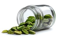 Green cardamom pods spilling from glass jar on white background, aromatic whole spice ingredient for cooking, baking and flavoring beverages.