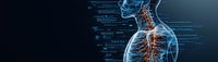 Anatomical visualization of human nervous system with glowing orange neural pathways on dark background with digital data elements for medical research.