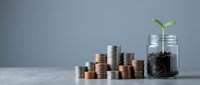 Growing money tree concept with green plant sprouting from coin-filled glass jar beside stacked coins representing financial growth and investment success.