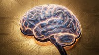 Digital brain with glowing neural pathways and circuit board background representing artificial intelligence, machine learning and cognitive technology concepts.