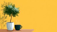 Minimalist composition with small decorative tree in white pot and dark coffee cup on wooden surface against yellow wall with plant shadow.