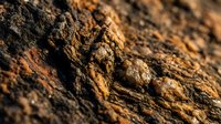 Macro close-up of rough, textured soil and earth particles with warm golden-brown tones and natural shadows, suitable for environmental and agricultural backgrounds.