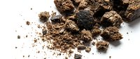 Crumbled soil and earth particles scattered on white background, isolated texture for design, gardening, agriculture, and environmental concepts.