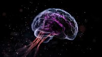 Glowing translucent brain with neural connections floating in dark space, illuminated with purple and red light effects against starry background. Medical science concept.