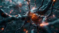 Microscopic neuron cell with glowing orange synaptic connections on dark background, showing electrical impulses and neural network activity in brain tissue.