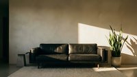 Black leather sofa in minimalist interior with potted plant and natural sunlight, suitable for home decor and furniture design projects.