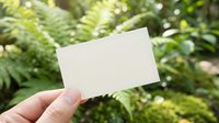 Hand holding blank white business card outdoors with lush green tropical foliage background, mockup for branding and design.