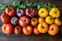 Fresh colorful heirloom tomatoes arranged in rows showing gradient from red to purple to yellow, with green parsley leaves on rustic wooden background.