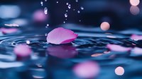 Pink rose petal floating on rippled water surface with water drops and bokeh lights creating dreamy atmosphere in blue and purple tones.