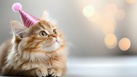 Ginger fluffy cat wearing pink party hat looking up with curiosity against blurred bokeh background, celebrating birthday or holiday moment.
