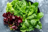 Fresh green spinach leaves and purple lettuce mix in black bowl on gray concrete background, healthy organic salad ingredients for nutritious meal preparation.