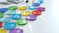 Colorful laboratory petri dishes arranged on white surface for scientific research and medical testing experiments in modern lab setting.