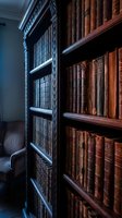 Antique leather-bound books arranged on ornate wooden library shelves with decorative carved details in atmospheric lighting for academic research.