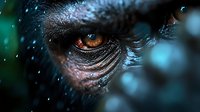 Extreme close-up of mysterious brown eye with wrinkles and dark lashes against turquoise bokeh background, dramatic lighting creates moody atmospheric portrait.