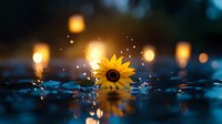 Glowing sunflower floating in dark water with magical bokeh lights and floating lanterns creating dreamy atmosphere, reflection on rippled surface at dusk.