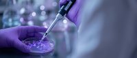 Laboratory scientist in purple gloves using pipette for precise liquid sample analysis in modern research facility with bokeh background.