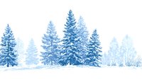 Serene winter landscape with snow-covered pine trees creating a peaceful forest scene against white background, ideal for seasonal designs.