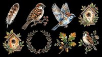 Sparrow bird clipart set with feather, birdhouses, wreath, and acorns, isolated on transparent background, ready for stickers, t-shirt design, and print on demand.