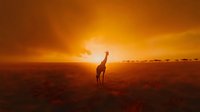 Silhouette of lone giraffe standing in African savanna grassland against dramatic orange sunset sky with sun rays breaking through clouds on horizon.