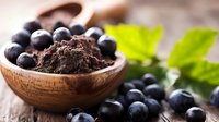 Fresh ripe blueberries scattered around wooden bowl filled with dark cocoa powder, green leaves on rustic wooden background. Food photography.