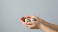 Hands holding three quail eggs isolated on white background, suitable for food, nutrition, cooking, and culinary design projects.