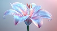 Delicate lily flower in soft pastel colors of blue and pink with water drops on petals against blurred background, creating dreamy romantic atmosphere.