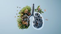 Creative concept showing human lungs split between natural green plants, flowers, butterflies and dark polluted section with branches against blue background. Medical awareness art.