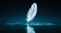 White feather floating on dark water surface with reflection against turquoise background, creating serene and minimalist composition.