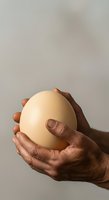 Close-up of male hands with dark skin tone holding single fresh egg against neutral background, isolated for design use on packaging, cooking websites, nutrition blogs, and food-related marketing materials.