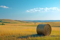 Golden hay bale in vast rural landscape with rolling hills and blue sky, showcasing agricultural farmland during harvest season.