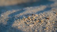 Close-up of golden sand grains with shallow depth of field, showing texture and detail for beach, nature, and travel backgrounds.
