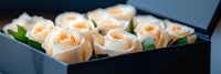 Elegant peach roses arranged in luxury black gift box for romantic occasions, weddings, anniversaries and special celebrations with premium floral presentation.