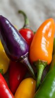 Colorful hot chili peppers in vibrant red, orange, purple, yellow and green hues arranged together showcasing spicy ingredient variety for cooking and culinary use.